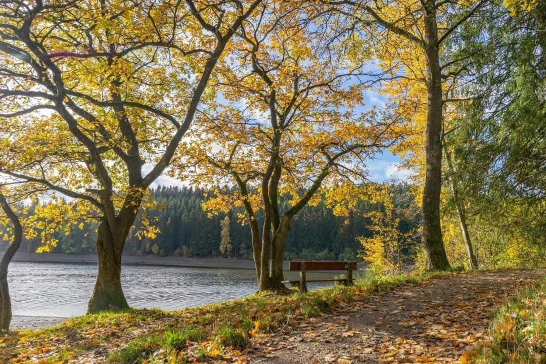 Lac Abane Au Lac Butgenbach Exteriör bild